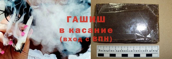 амф Ельня