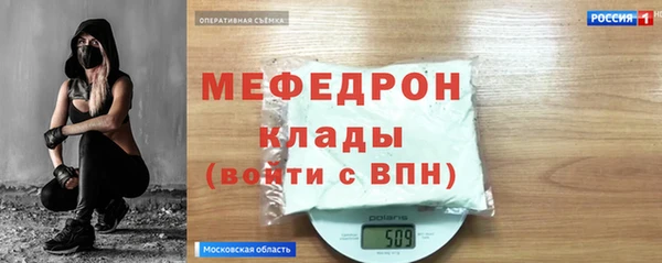 амф Ельня