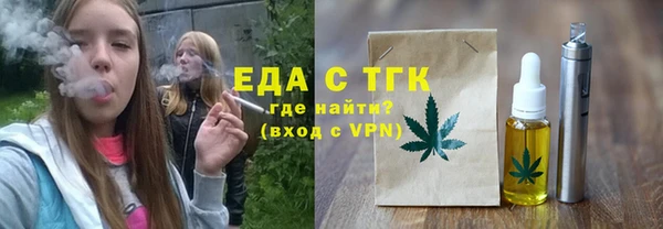 амф Ельня