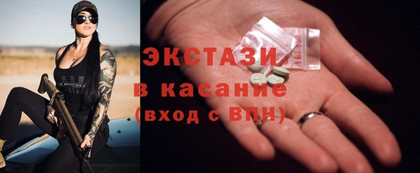 амф Ельня