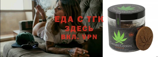 амф Ельня