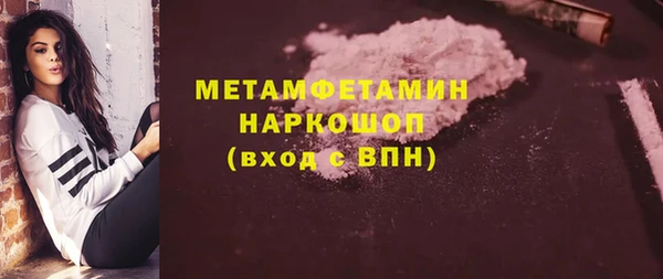 амф Ельня