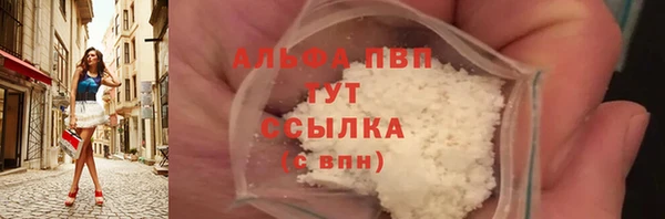 амф Ельня