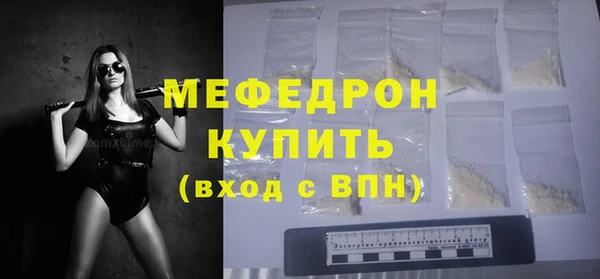 амф Ельня