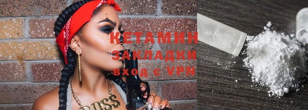 амф Ельня