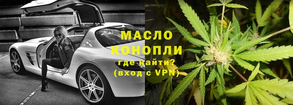 амф Ельня