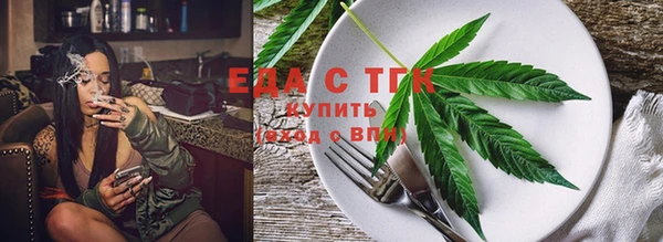 амф Ельня