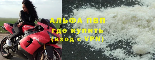 амф Ельня