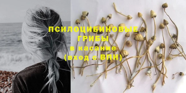 гидропоника Елизово