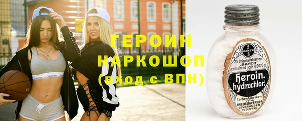амф Ельня