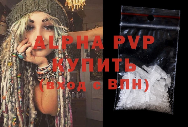 амф Ельня